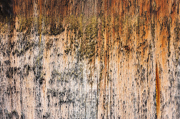 Image showing brown aged wooden board background