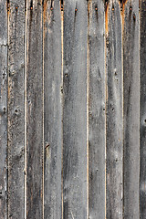 Image showing gray aged wooden boards background