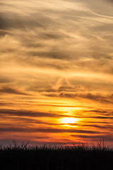 Image showing flying birds on dramatic sunset background