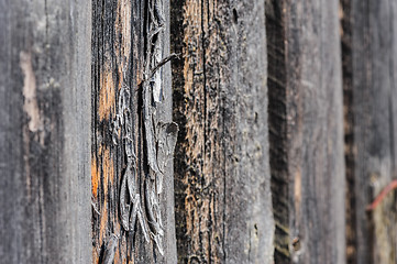 Image showing cracked aged wooden boards