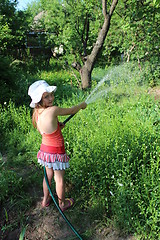 Image showing girl watering a kitchen garden