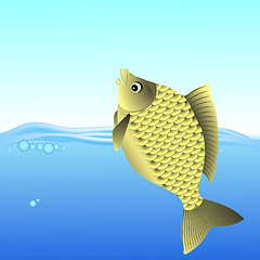 Image showing Freshwater Fish