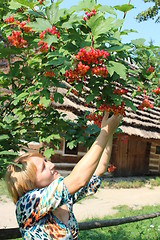 Image showing girl with red guelder-rose besides an rural house