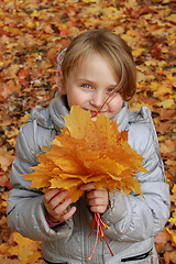 Image showing little girl with leaves