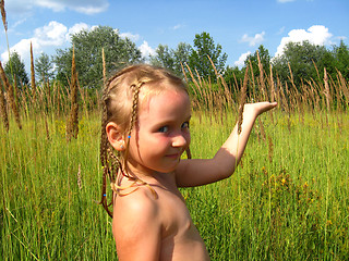 Image showing little girl with a lot of braides