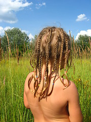 Image showing little girl with a lot of braides