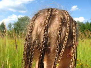 Image showing little girl with a lot of braides