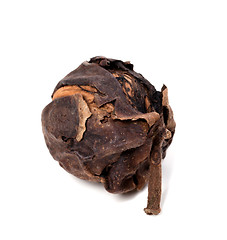 Image showing Raw walnut just a tree