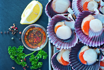 Image showing scallops