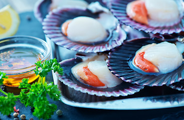 Image showing scallops