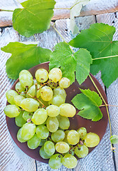 Image showing grape