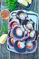 Image showing scallops