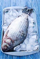 Image showing fish