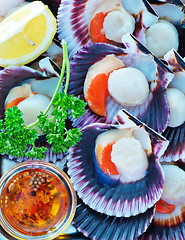 Image showing scallops