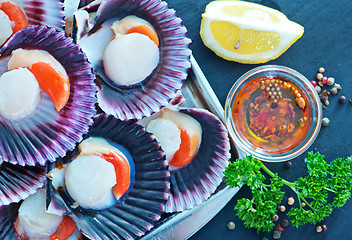 Image showing scallops