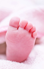 Image showing baby foot
