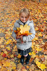 Image showing little girl with yellow leaves in the park