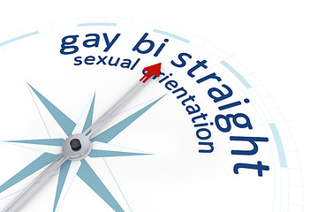 Image showing Compass Sexual Orientation