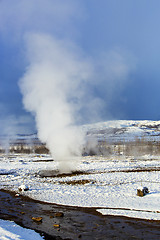 Image showing Geyser in a winter landscape in Iceland