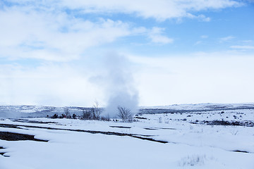 Image showing Geyser in Iceland