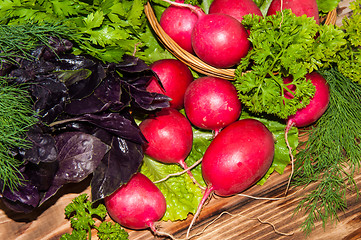 Image showing Red garden radish and fresh herbs