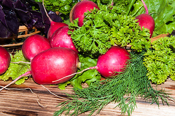 Image showing Red garden radish and fresh herbs