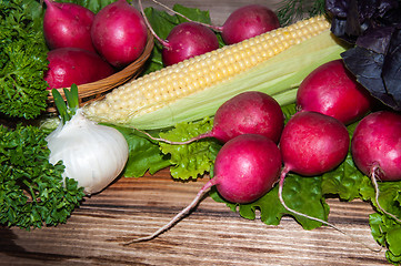 Image showing Red garden radish and fresh herbs