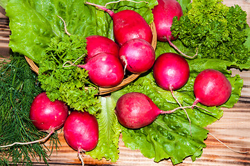 Image showing Red garden radish and fresh herbs