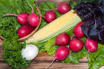 Image showing Red garden radish and fresh herbs