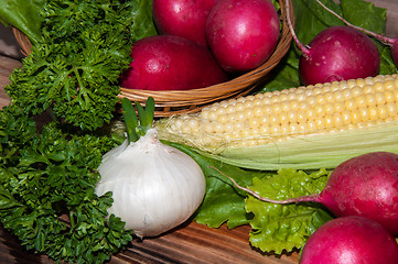 Image showing Red garden radish and fresh herbs