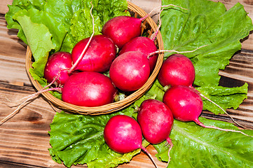 Image showing Red garden radish and fresh herbs