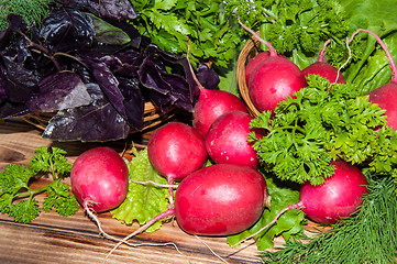 Image showing Red garden radish and fresh herbs