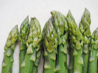 Image showing Asparagus vegetable