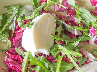 Image showing Lettuce salad