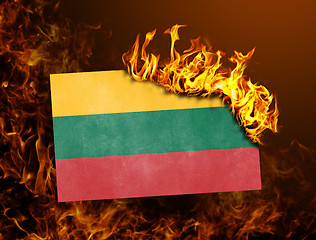 Image showing Flag burning - Lithuania