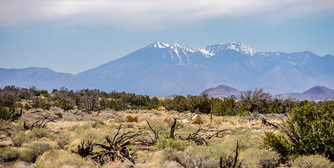 Image showing landscape with Humphreys Peak Tallest in Arizona