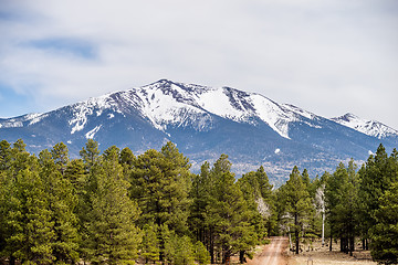 Image showing landscape with Humphreys Peak Tallest in Arizona