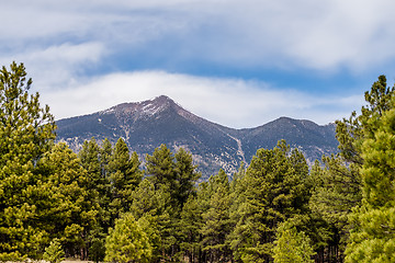 Image showing landscape with Humphreys Peak Tallest in Arizona