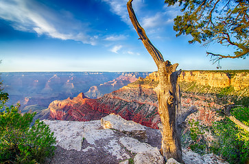 Image showing Grand Canyon sunny day with blue sky