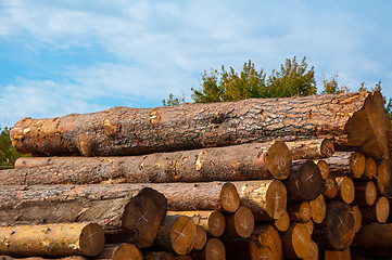 Image showing Timber or lumber