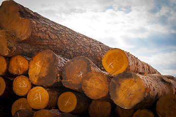 Image showing Timber or lumber