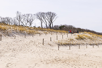 Image showing sand, dunes and trees