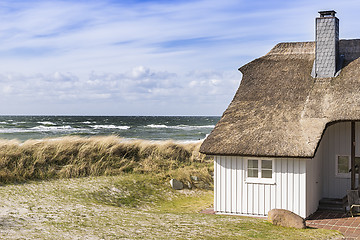 Image showing Coast Baltic Sea with dune grass and house