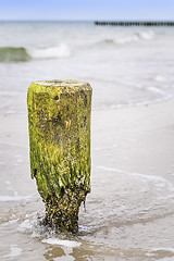 Image showing Breakwater pole Baltic Sea