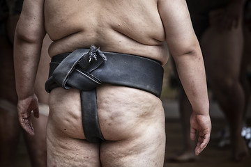 Image showing Sumo wrestler