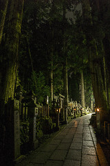 Image showing Path in a grave yard