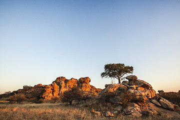 Image showing African landscape