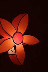 Image showing Lit up floral light