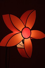 Image showing Lit up floral light