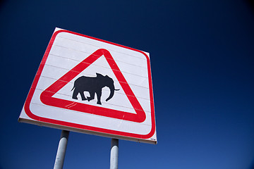 Image showing Caution, Elephants